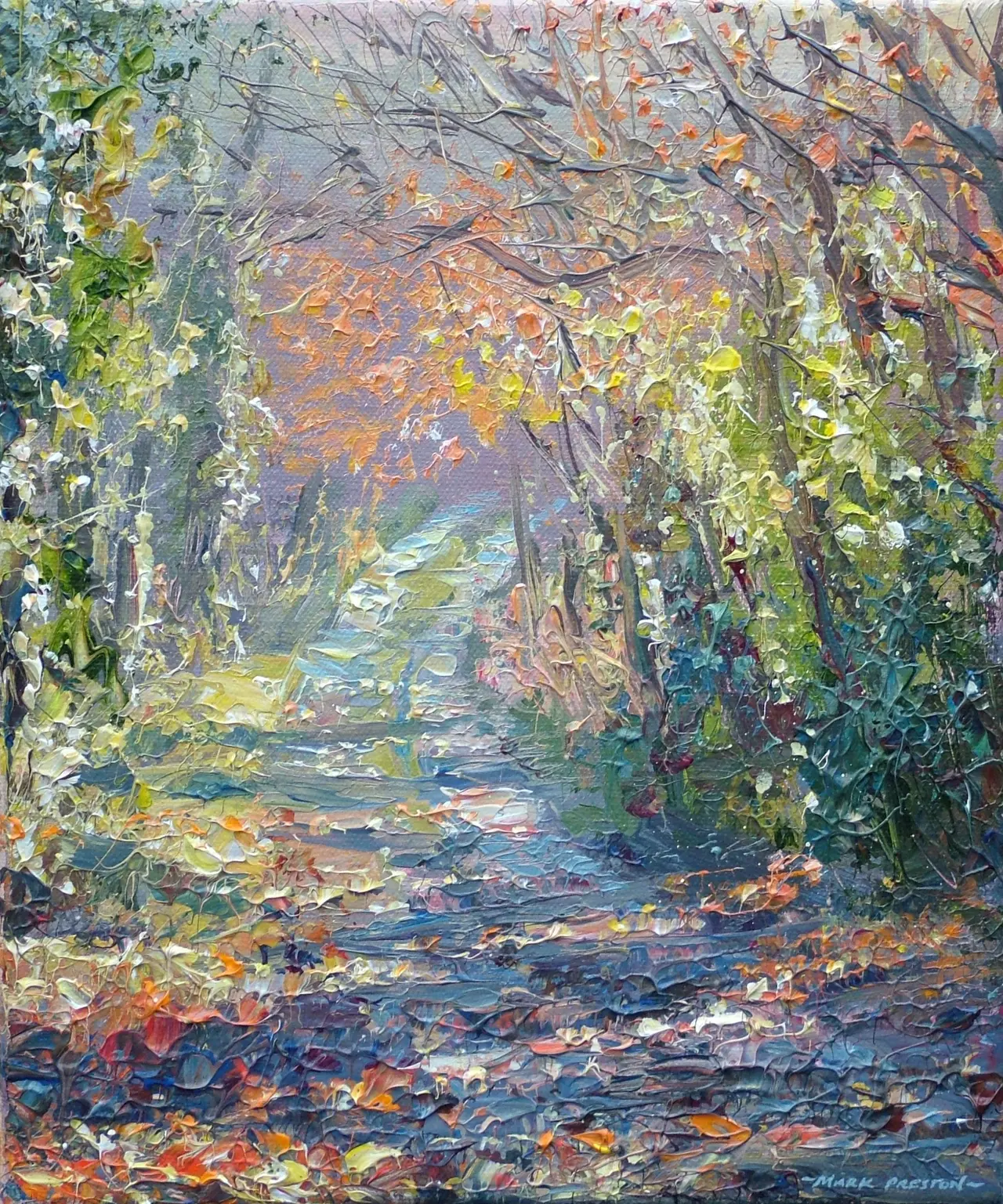 Mark Preston - sunlit lane, wirksworth